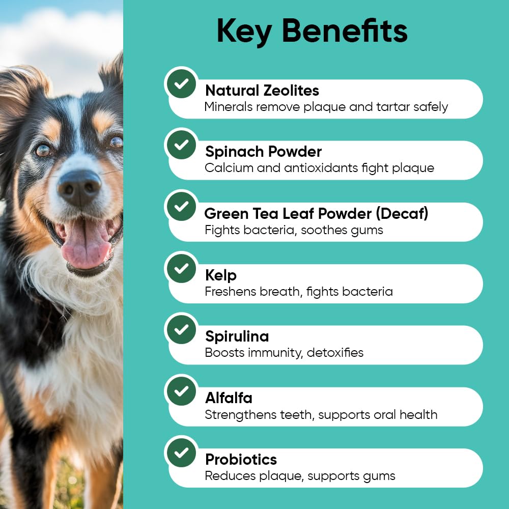 iHeartDogs Clean Teeth powder being scooped for easy daily dosing