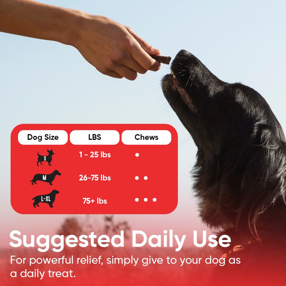 iHeartDogs cranberry-dmannose capsules highlight urinary support for dogs