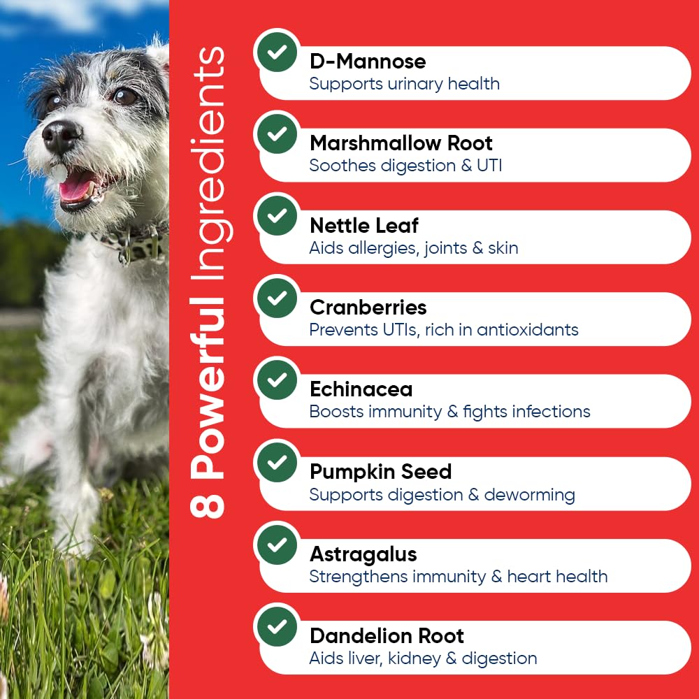 iHeartDogs dandelion-root product signals gentle detox and fluid balance for urinary comfort
