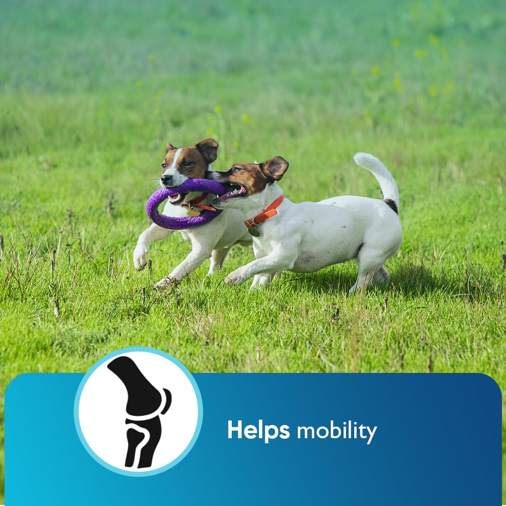 iHeartDogs dog-eating calming chews: easy-to-feed treat that promotes calm moments
