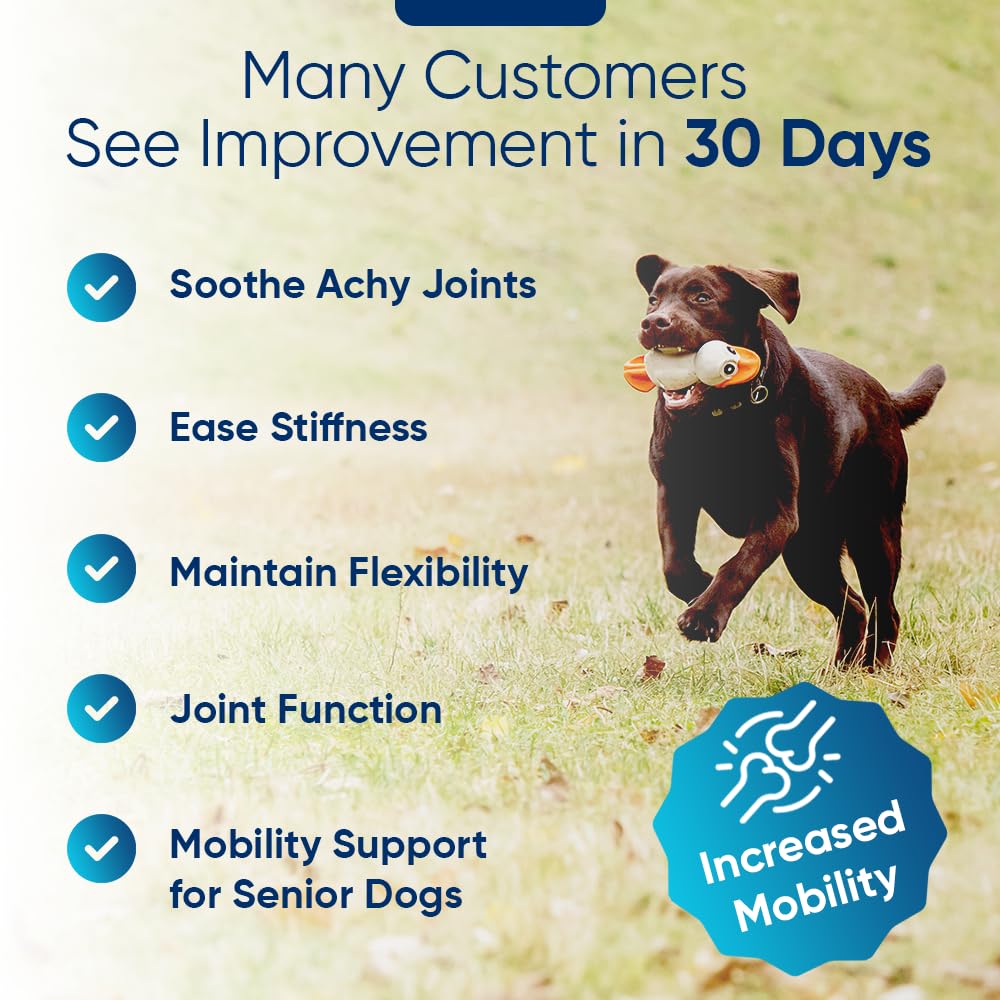 iHeartDogs hemp calming chews bag pack: convenient daily-use canine calm