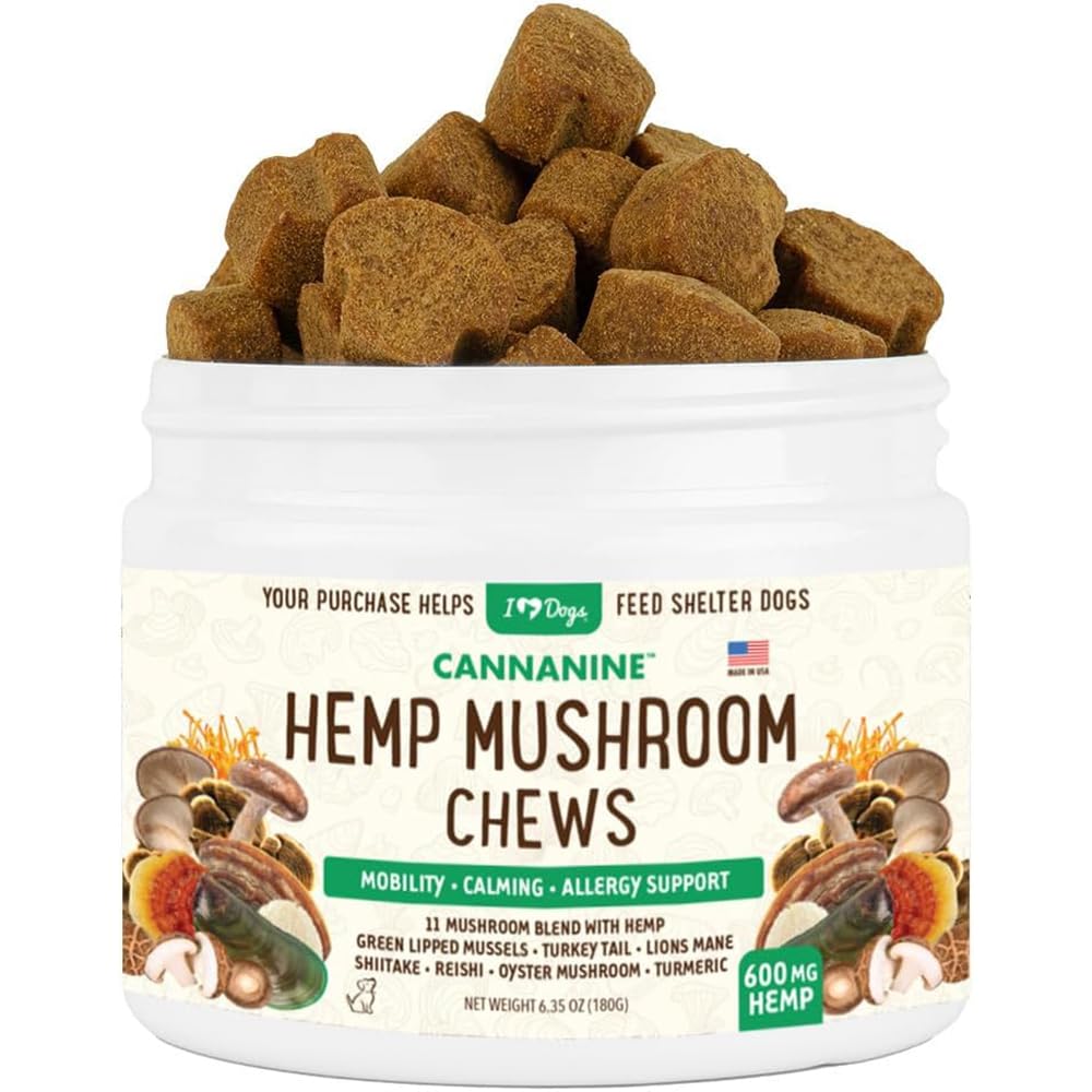 iHeartDogs Hemp Mushroom Chews cozy scene conveying dog relaxation and calm mood