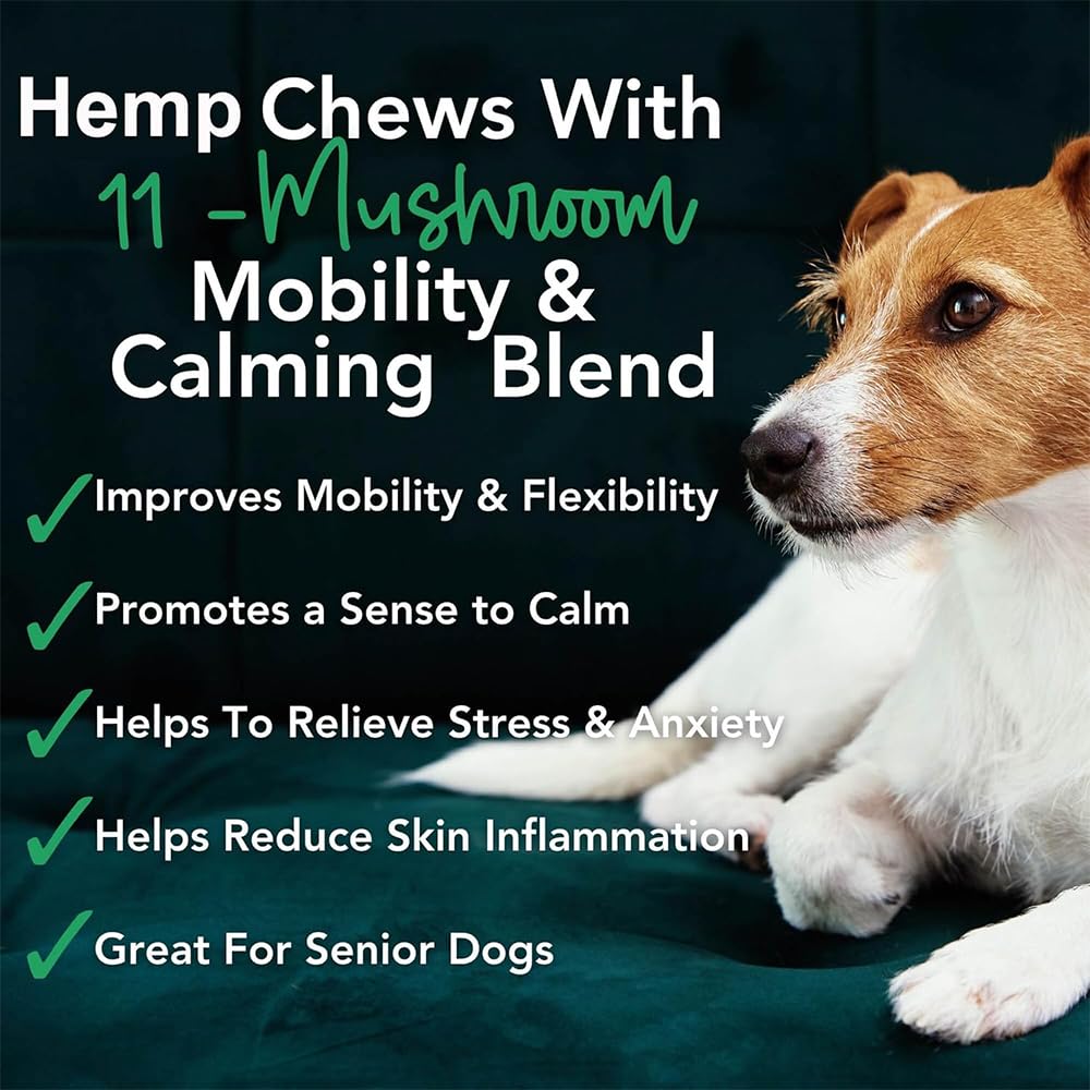 iHeartDogs Hemp Mushroom Chews dog in motion illustrating improved mobility