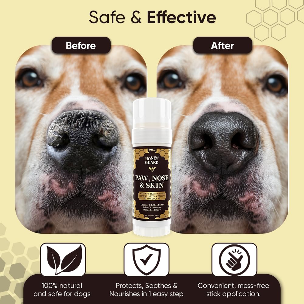 iHeartDogs Honey Guard Manuka honey ingredient close-up signaling soothing skin support