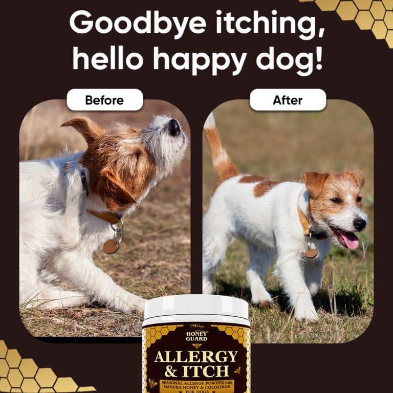 iHeartDogs Honey Guard scoop-dispense image emphasizes simple, measured dosing.