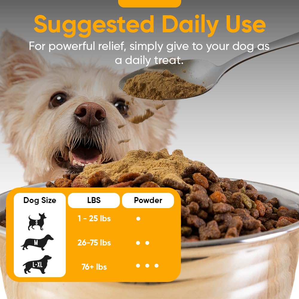 iHeartDogs Bone Broth & Collagen powder near dog bowl promotes immune function