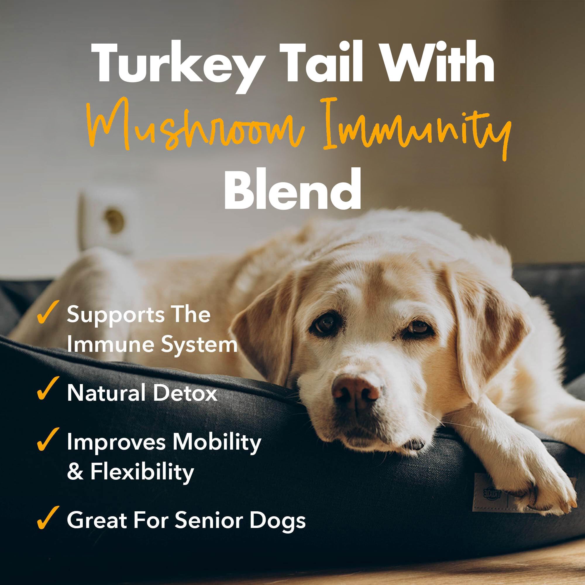 iHeartDogs immune-support mushroom powder shown with a scoop for daily use.