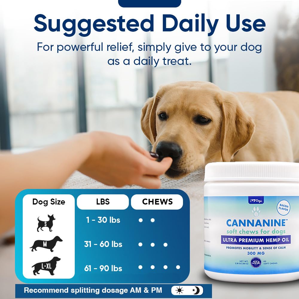 iHeartDogs joint mobility chews on hand: supports natural movement for comfortable activities