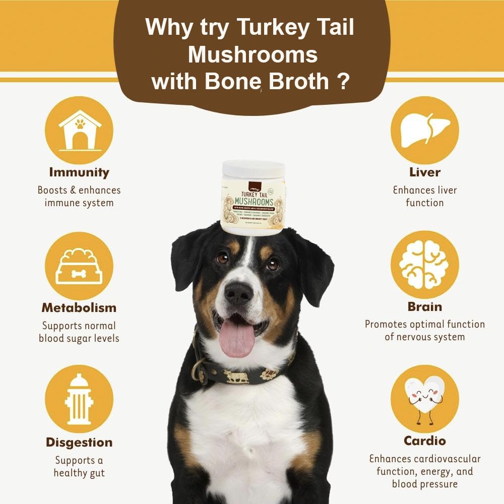 iHeartDogs bone broth with mushrooms supports hydration and gut health.