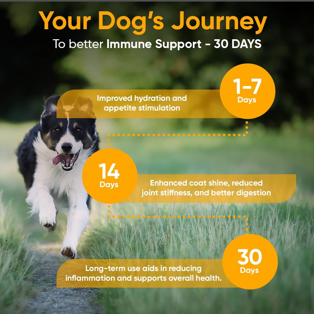 iHeartDogs Bone Broth & Collagen powder being poured for immune-friendly mealtime