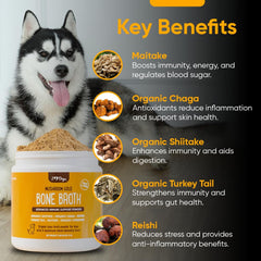 iHeartDogs Mushroom Gold Blend jar close-up shows premium supplement powder