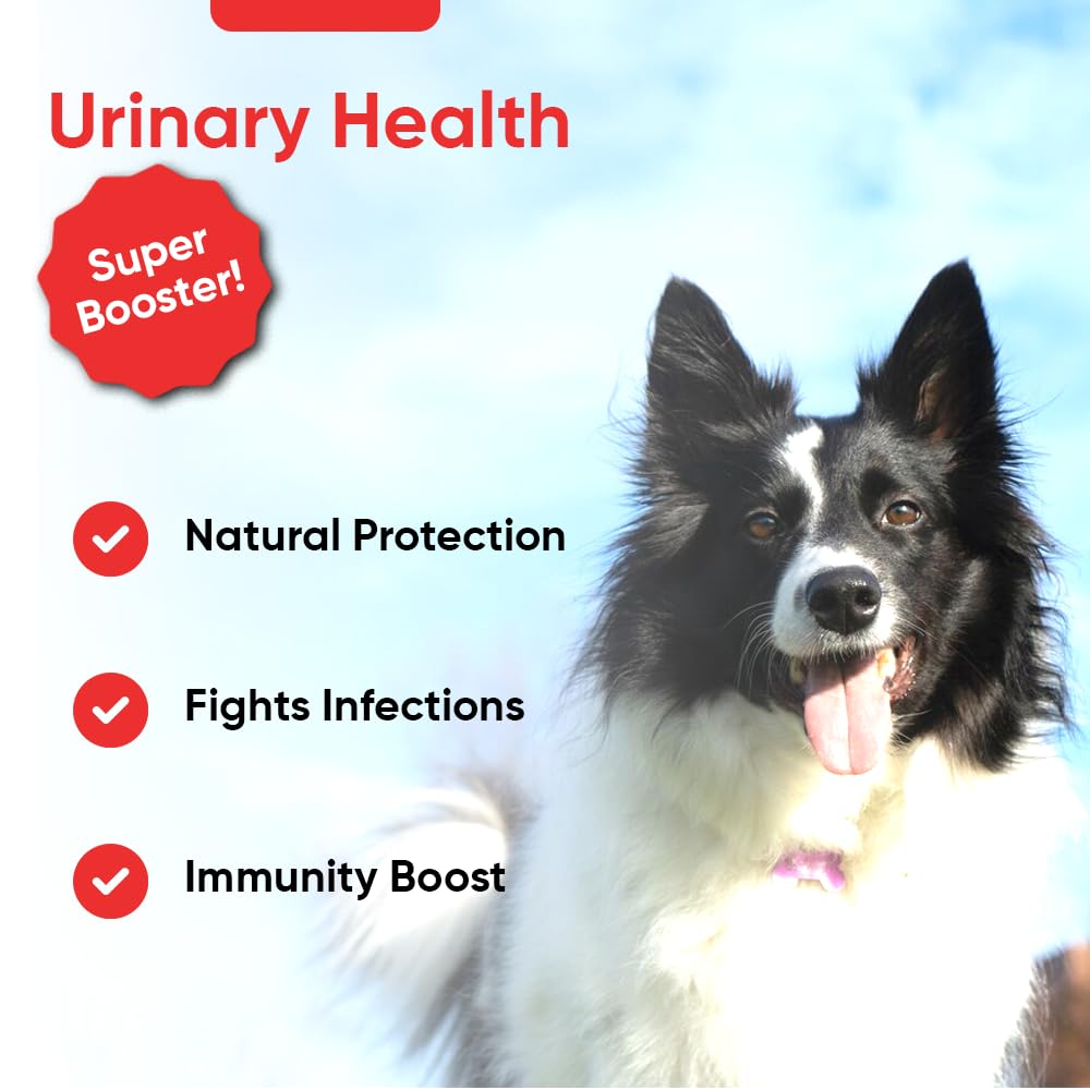 iHeartDogs nettle-leaf pouch illustrates natural bladder support and inflammation relief potential