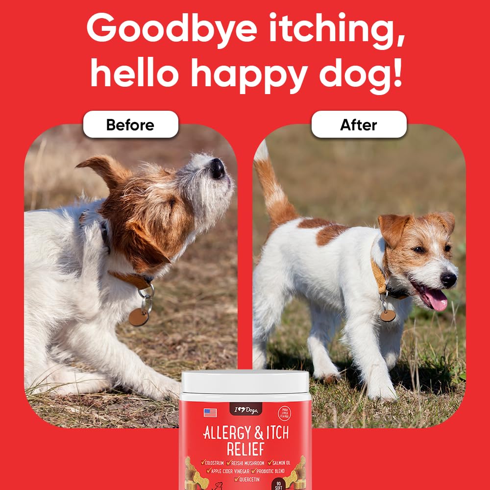 iHeartDogs probiotics-dog-gut-health-bottle with bowl hints at digestive balance and strong immune defense.