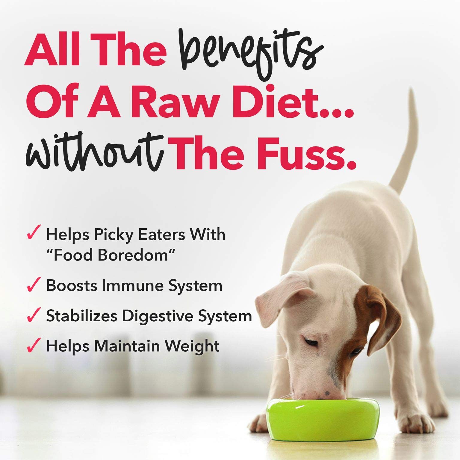 iHeartDogs probiotics-freeze-drying closeup communicates post-drying viability.