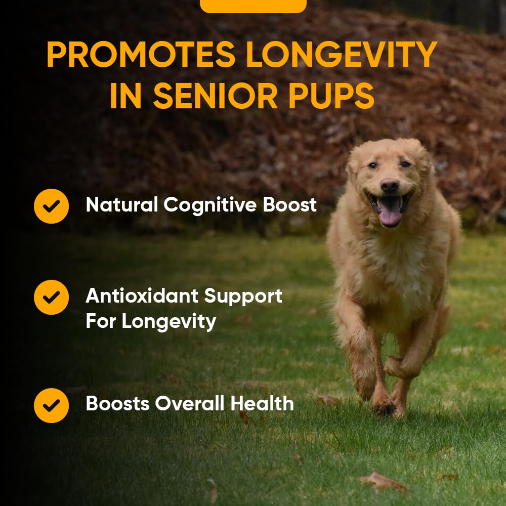 iHeartDogs Senior 7 serving mixer demonstrates easy pour-over onto meals