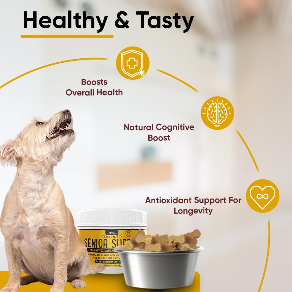 iHeartDogs Senior 7 tablet closeup shows probiotic-rich chewable form