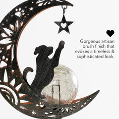 iHeartDogs solar powered lantern panel charges by day for evening illumination