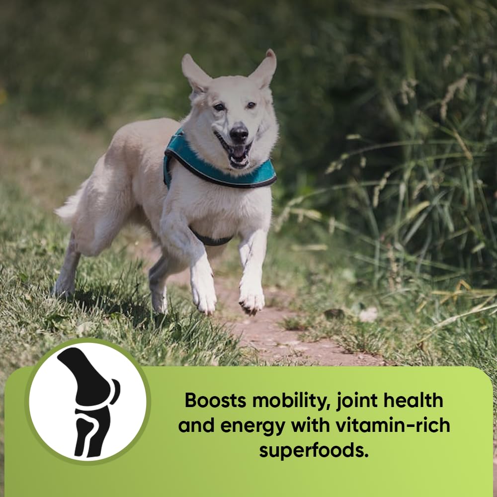 iHeartDogs Super Greens broccoli sprouts highlight antioxidant-rich greens
