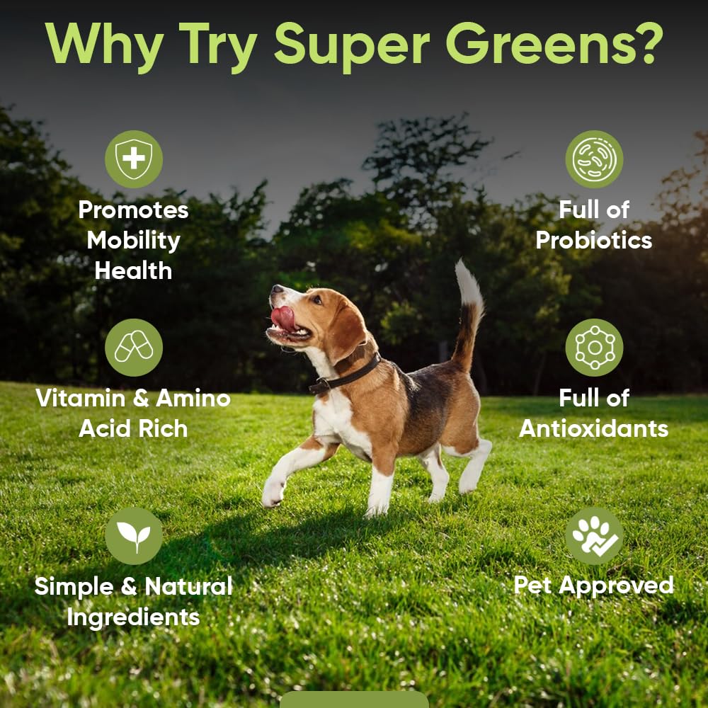 iHeartDogs Super Greens being mixed with dog food for easy meal enrichment