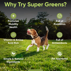 iHeartDogs Super Greens being mixed with dog food for easy meal enrichment