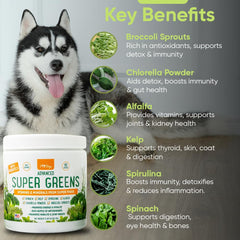 iHeartDogs Super Greens scoop pours into dog bowl for daily nutrient boost