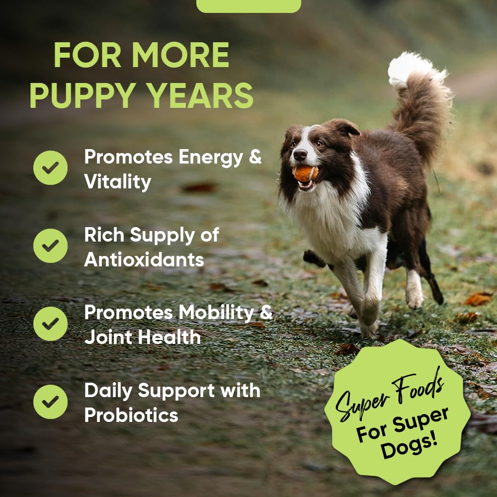 iHeartDogs Super Greens spirulina powder for vibrant energy support