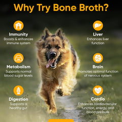iHeartDogs Bone Broth & Collagen powder featuring Turkey Tail mushroom for immune support