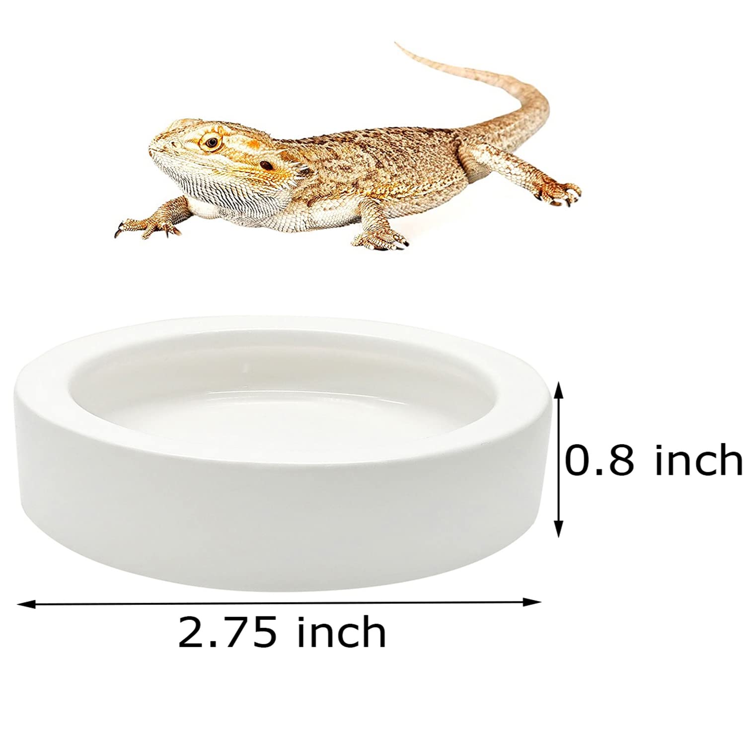 ihomeset anti escape design reptile bowl sideview demonstrates secure feeding in terrariums.
