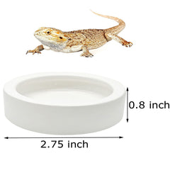 ihomeset anti escape design reptile bowl sideview demonstrates secure feeding in terrariums.
