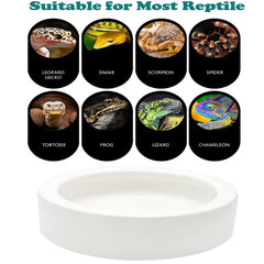 iHomeSet reptile bowl close-up highlighting inward-curve anti-escape feature.