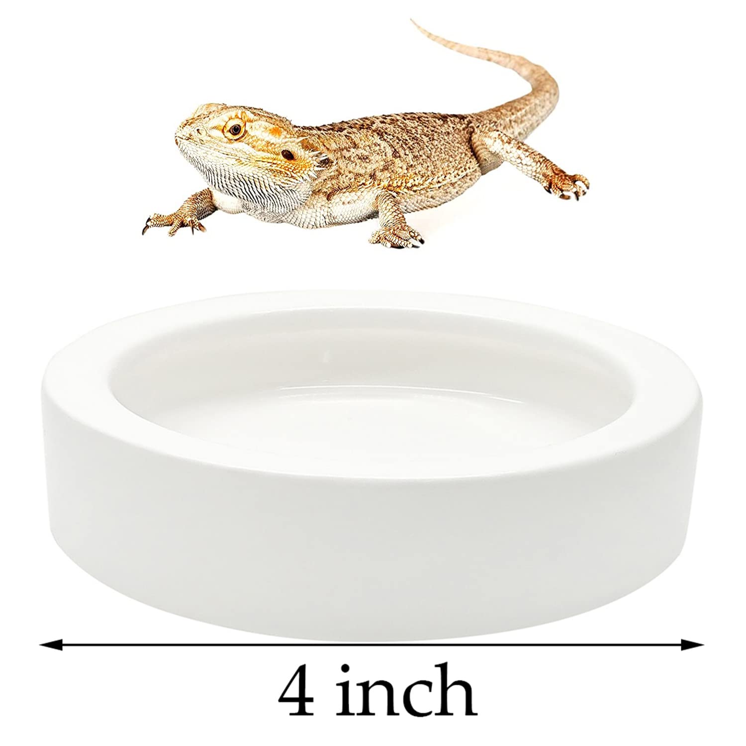 iHomeSet two-bowl setup for feeding and hydration in reptile enclosures.
