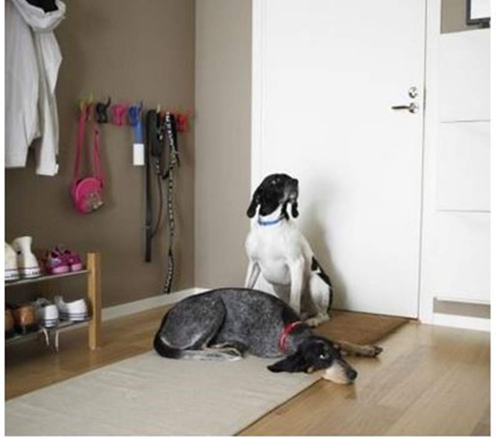 IKEA BÄSTIS black finish complements decor while organizing pet gear.