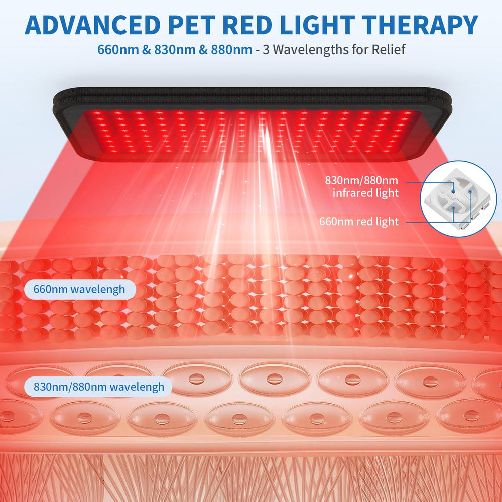 iKeener red-light therapy belt targets joints during arthritis-friendly routine.