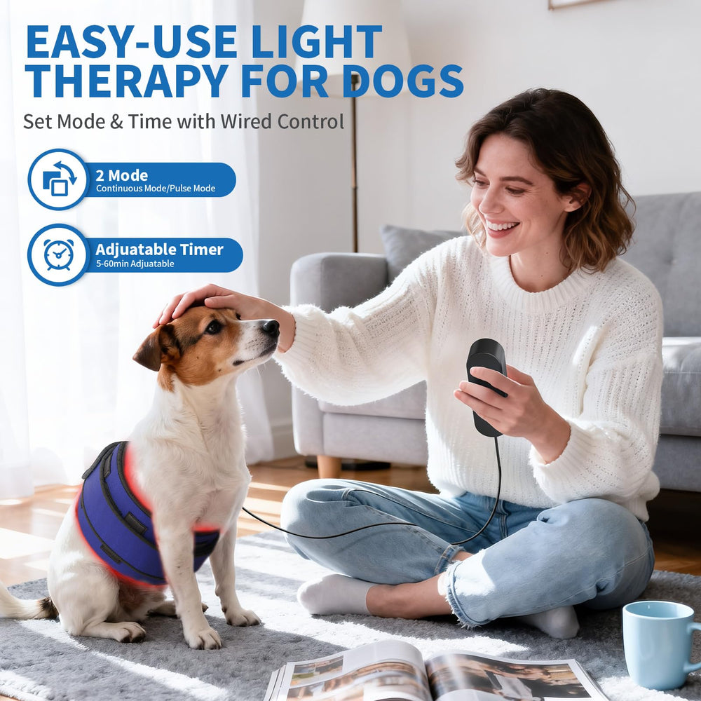iKeener red-light therapy belt provides spine comfort during indoor use.