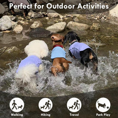 IKIPUKO dog shirt easy-on-off design simplifies dressing before outings