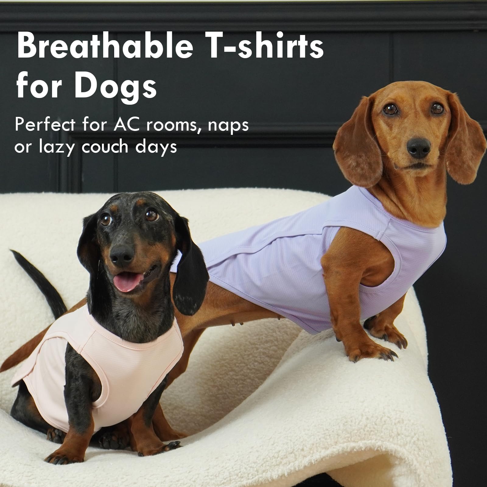 IKIPUKO dog shirt two-pack colors offer versatile summer options