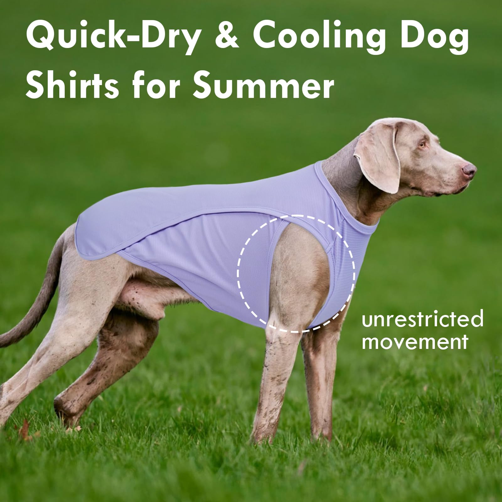 IKIPUKO dog shirt XL size measures chest 21.6 inches