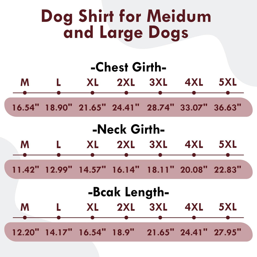 IKIPUKO dog t-shirt beach-walk scene highlights UPF50+ sun protection for sensitive skin.