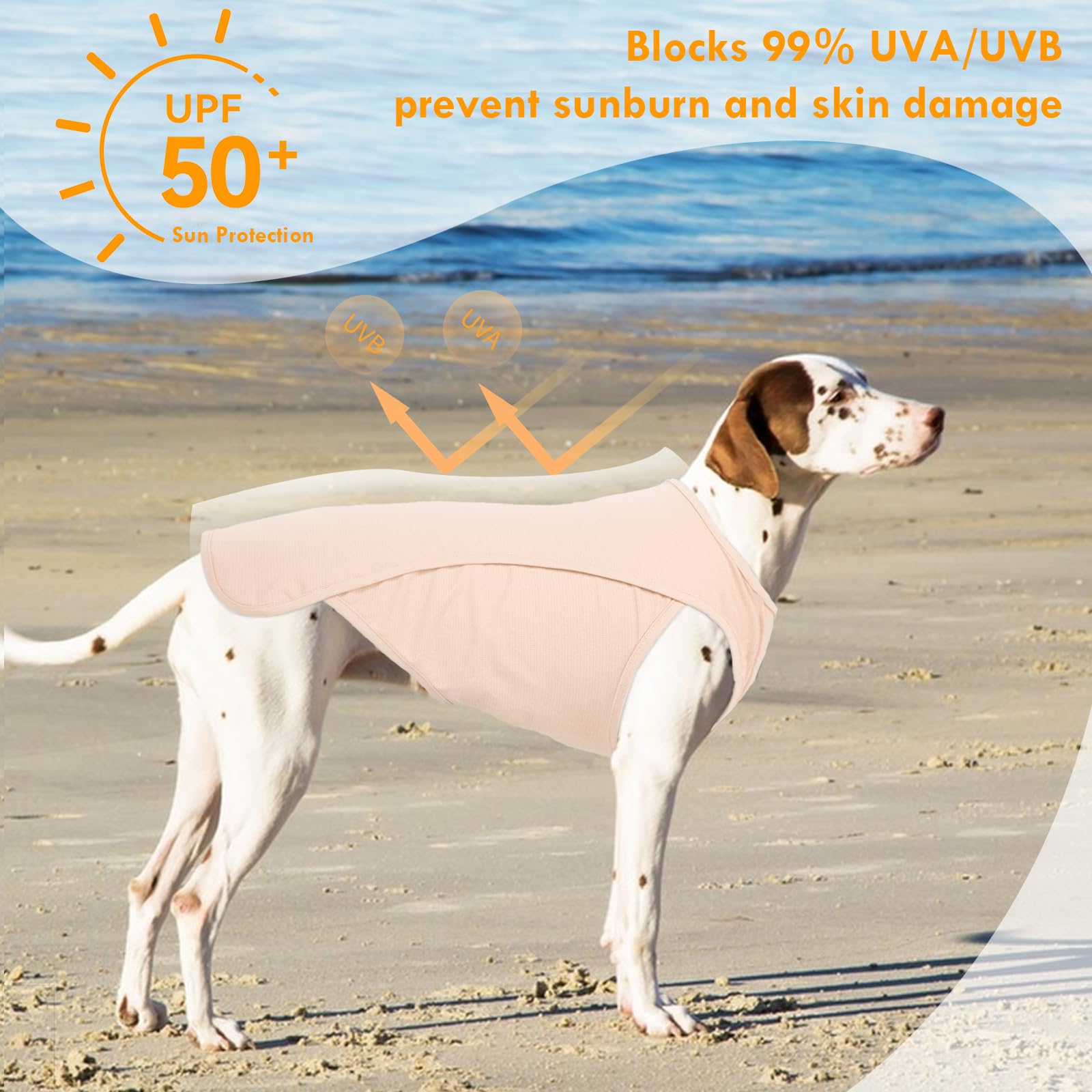 IKIPUKO dog t-shirt pink lifestyle shot showcases sun protection during outdoor walks.