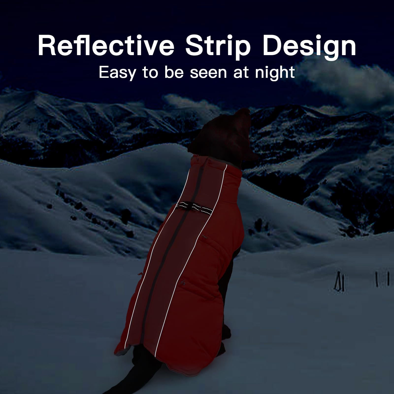 IKIPUKO dog winter jacket adjustable drawstrings customize chest, belly, and neck fit.