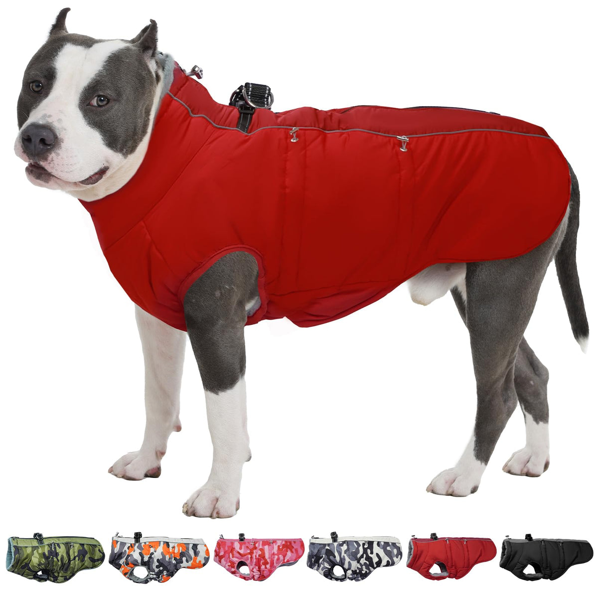 IKIPUKO dog winter jacket back zipper closure for quick on/off during chilly outdoor walks.