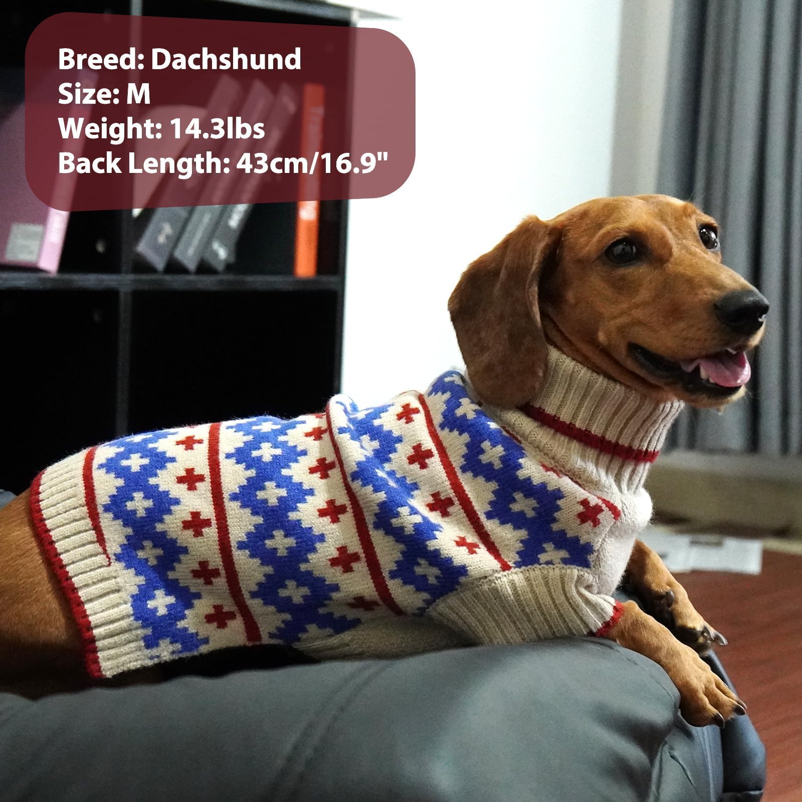 IKIPUKO Large Dog Sweater apricot back view highlights warm coverage for cold days