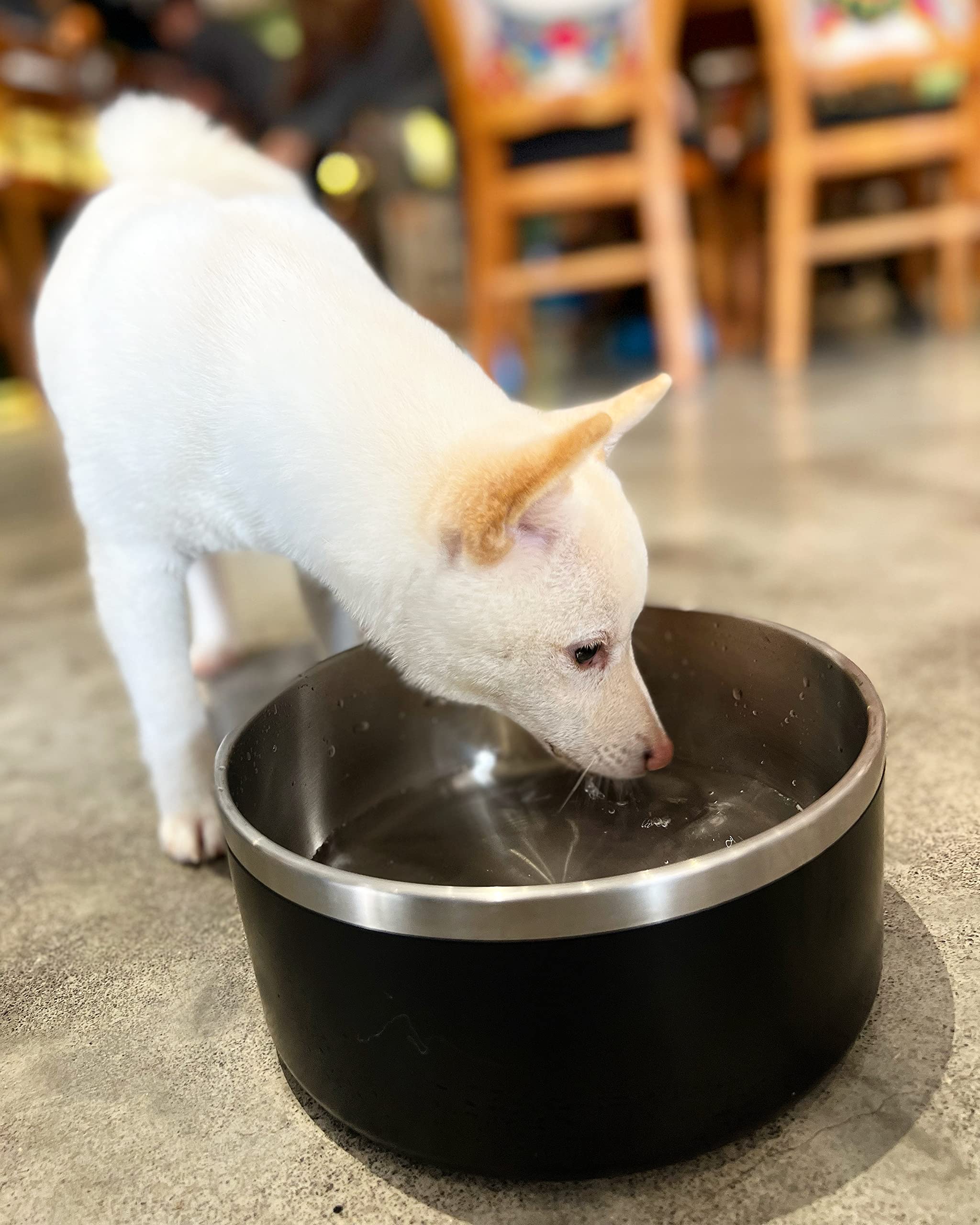 ikitchen large-dog friendly dog bowl suitable for pets of various sizes