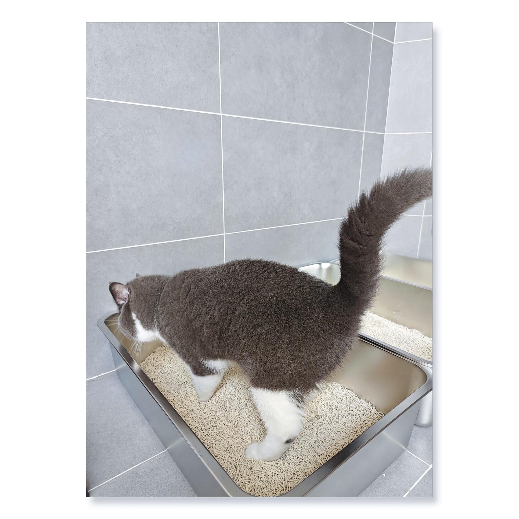 ikitchen stainless steel cat litter box, side view shows easy-clean surface for quick maintenance