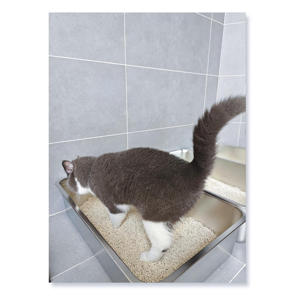 ikitchen stainless steel cat litter box, side view shows easy-clean surface for quick maintenance
