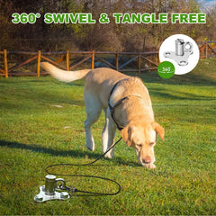 iklekione 304 stainless steel dog stake demonstrates rust resistance for outdoor use.