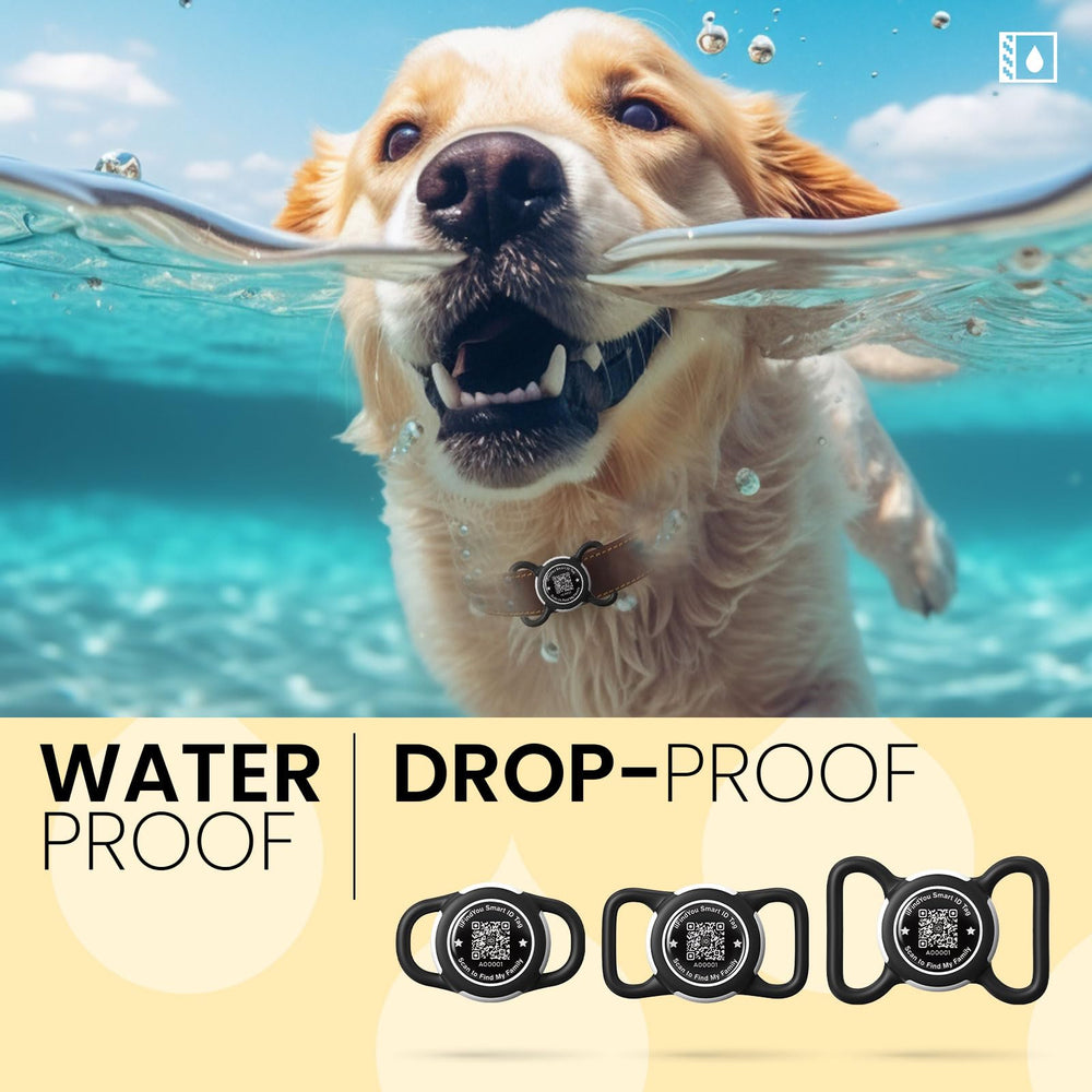 ILFINDYOU AirTag holder in-use on a dog collar during a walk for safety