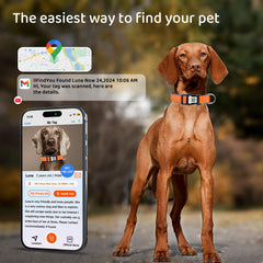 ILFINDYOU collar with reflective strips improves visibility during night walks.