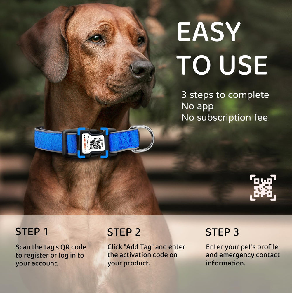 ILFINDYOU safety buckle enables easy on/off securely