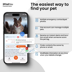 ILFINDYOU dog tag supports real-time location alerts when scanned, improving pet recovery chances.